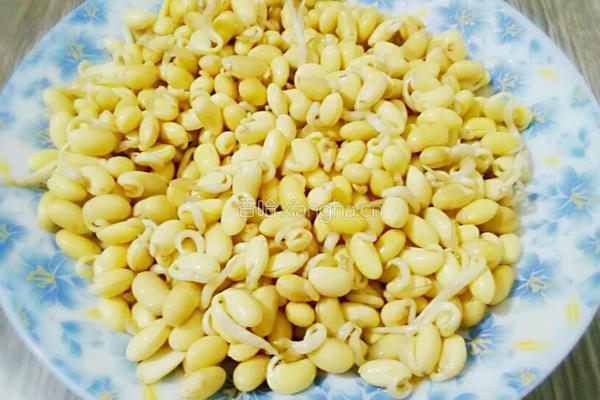 炒黄豆芽的做法图解1