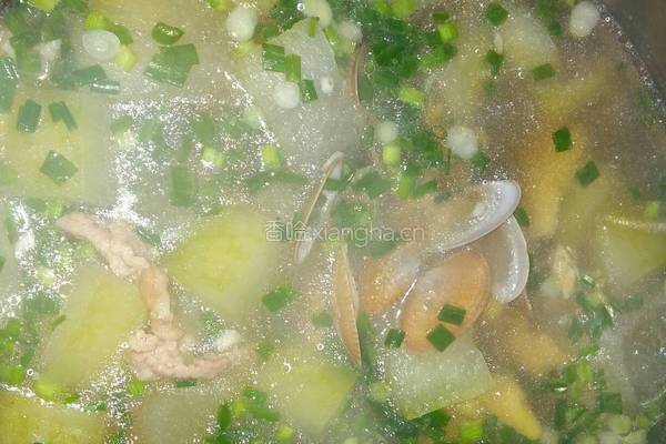 冬瓜瘦肉花蛤汤的做法图解9