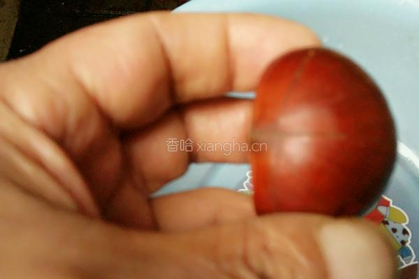 水煮糖栗子的做法图解2