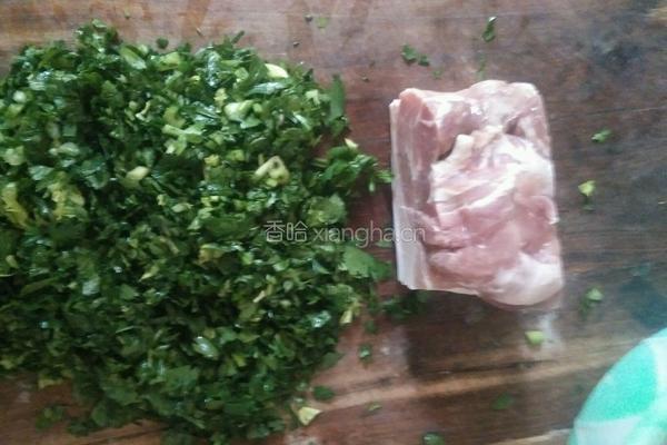 纯手工饺子的做法图解4