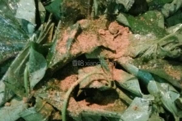 粉蒸红薯叶的做法图解2