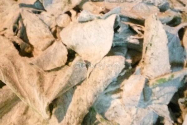 粉蒸红薯叶的做法图解3