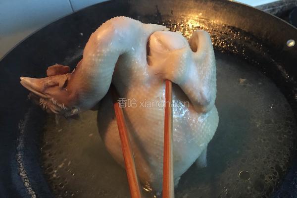 沙姜白切鸡的做法图解5