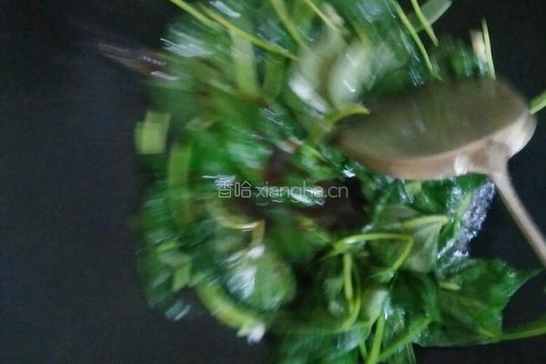 炒番薯叶的做法图解7