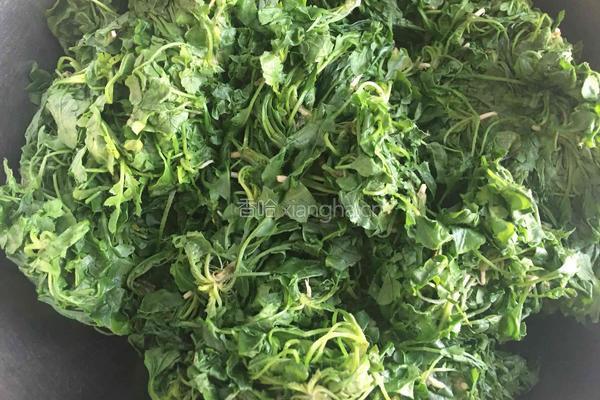 野菜锅贴的做法图解2