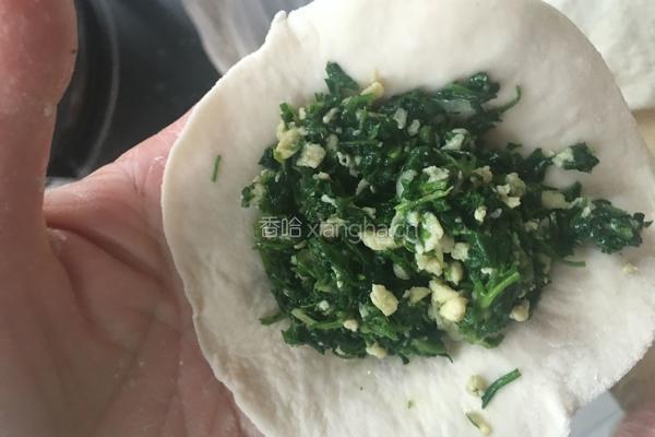 野菜锅贴的做法图解6