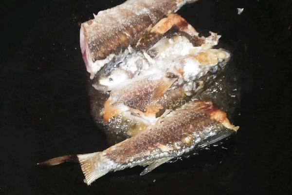 炸豆腐焖鱼的做法图解3