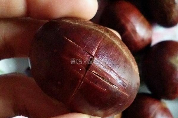 板栗烧鸡的做法图解3
