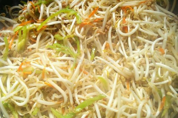 清炒绿豆芽的做法图解5