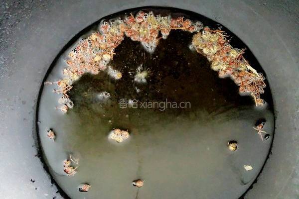 手撕包菜拌粉条的做法图解7