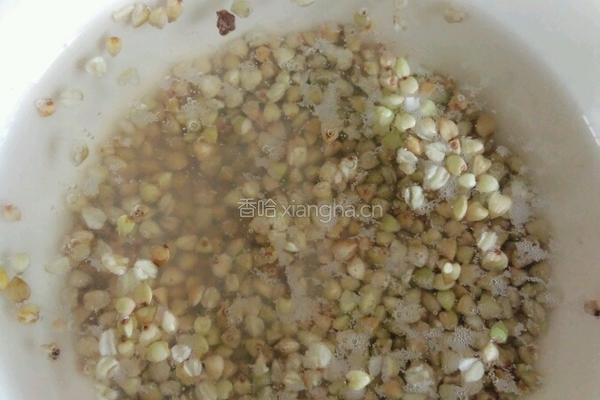 荞麦粥的做法图解1