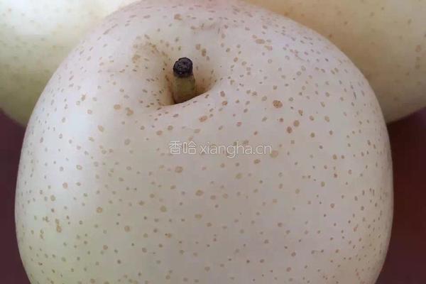 冰梨汁的做法图解1