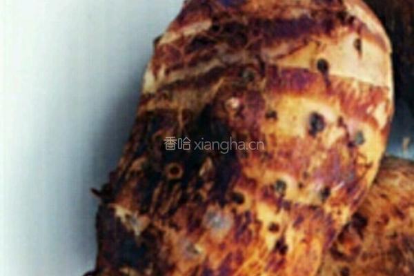 红枣山药芋头枸杞汤的做法图解2