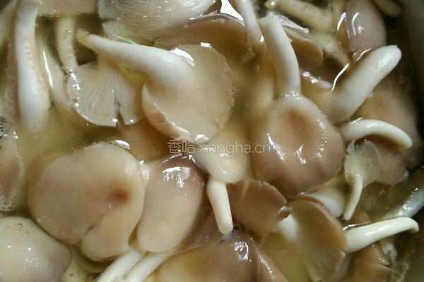 凤尾菇番鸭汤的做法图解5