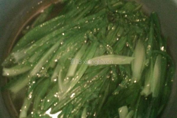 蚝油油麦菜的做法图解4
