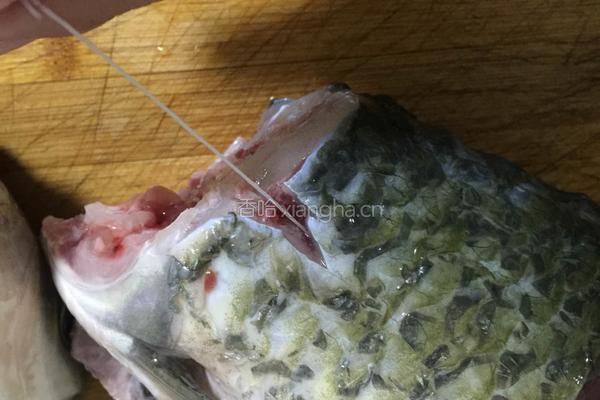 豆腐炖鱼的做法图解1
