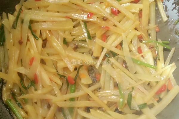 香辣土豆丝的做法图解4