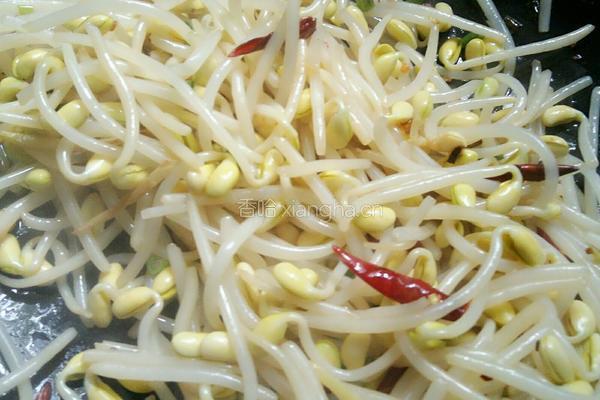 干煸黄豆芽的做法图解6