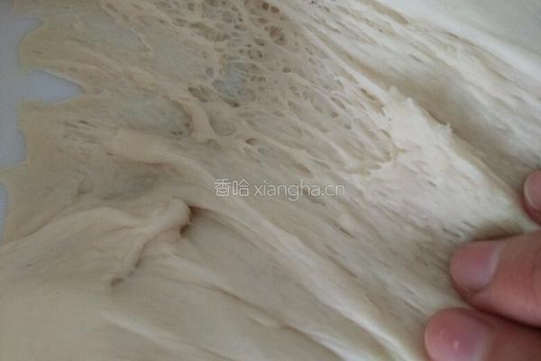 酸奶机发面的做法图解6