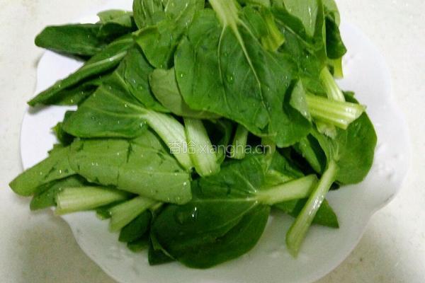 炒米粉的做法图解7