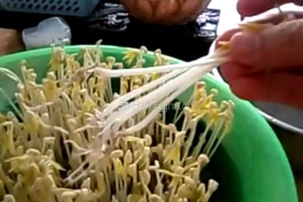 沙培绿豆芽的做法图解7