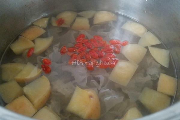银耳枸杞苹果汤的做法图解8