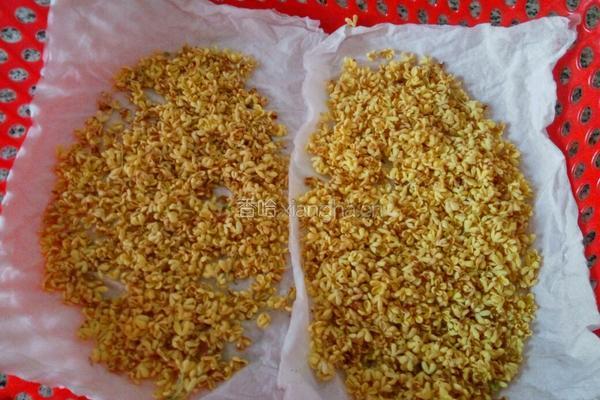 桂花蜜（花茶）的做法图解3