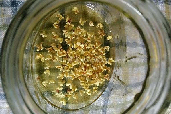 桂花蜜（花茶）的做法图解4