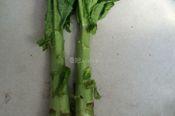 蒜香莴笋的做法图解1