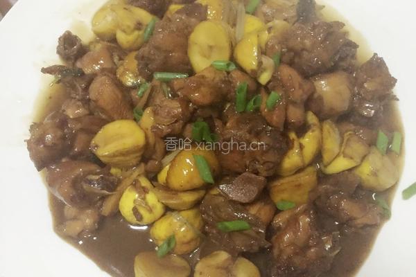 板栗烧鸡的做法图解9