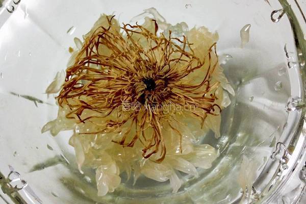 野菊柚子茶的做法图解8