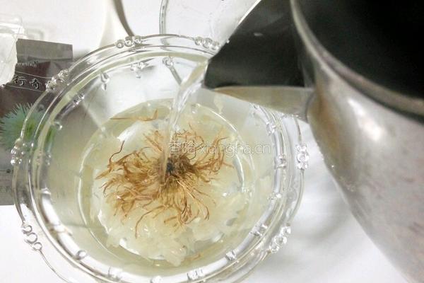 野菊柚子茶的做法图解10