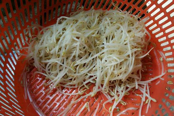 酸辣香脆绿豆芽的做法图解2