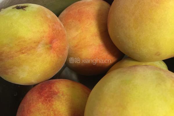 黄桃罐头的做法图解1