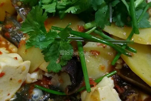 木瓜煮鲫鱼的做法图解13