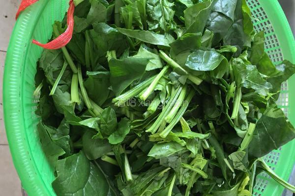 菠菜炒鸡蛋的做法图解1