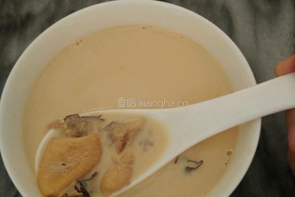 牛奶炖花胶的做法图解5
