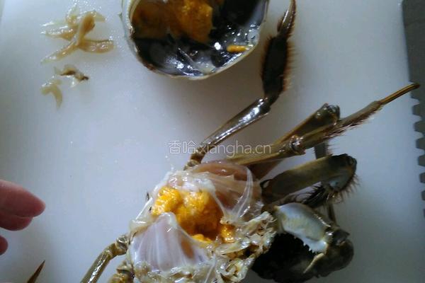 红烧大闸蟹的做法图解5