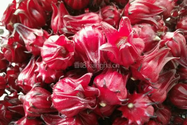 冰糖渍洛神花的做法图解1