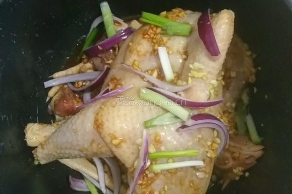 电饭煲焖鸡的做法图解5