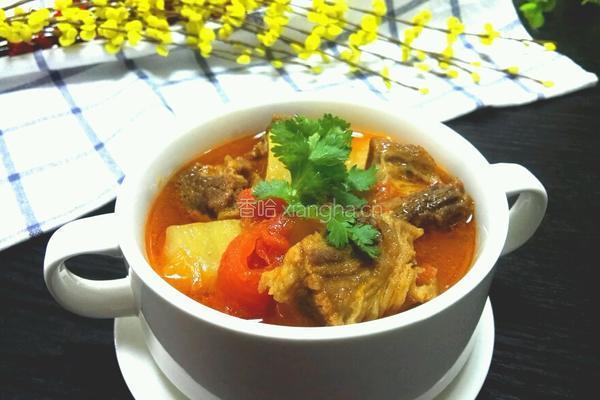 茄汁牛腩的做法图解11