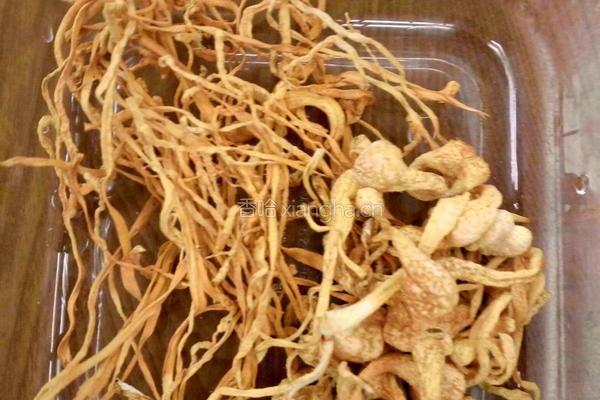 排骨玉米猴头菇虫草花汤的做法图解4
