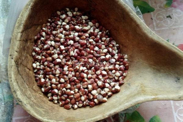 高粱米花豆粥的做法图解1