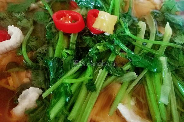 酸汤肉片的做法图解19