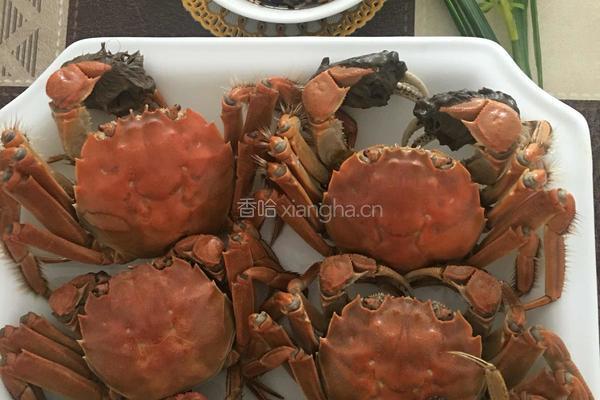 清蒸沱湖螃蟹的做法图解4