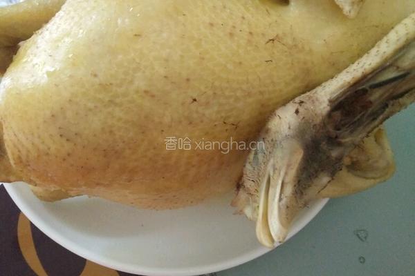 白切鸡的做法图解4