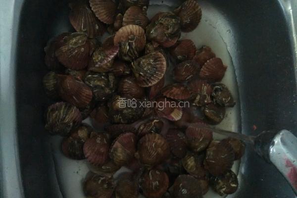 清蒸扇贝的做法图解1