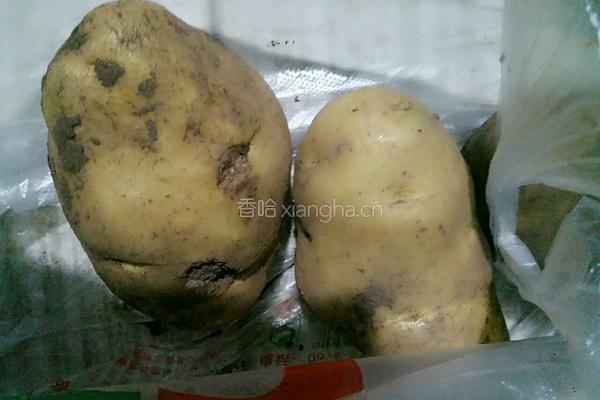 土豆丝馍馍的做法图解2