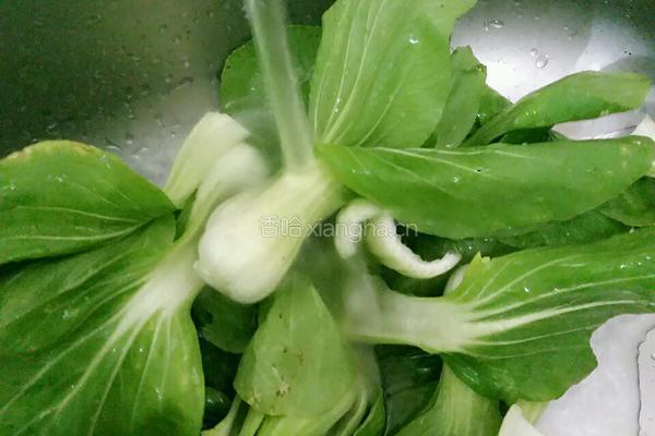 白焯青菜的做法图解4