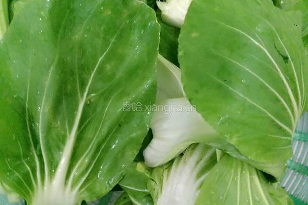 白焯青菜的做法图解5